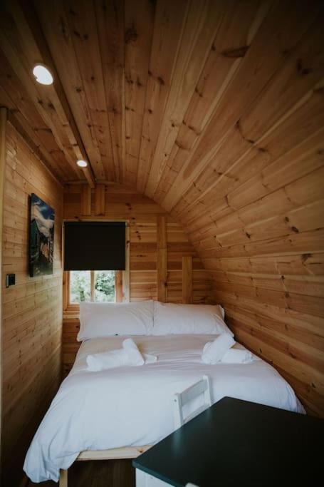 Pine Cosy Winter Cabin - Hot Tub & Log Burner Apartment Barmouth Ngoại thất bức ảnh