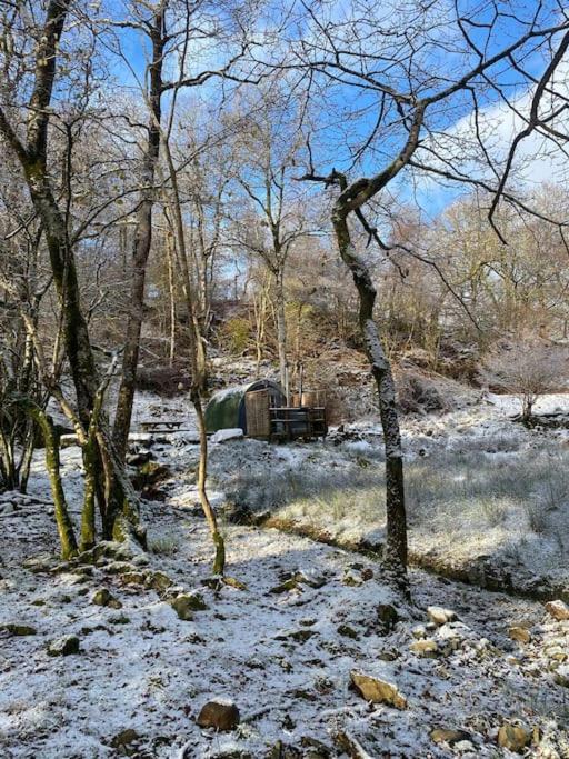Pine Cosy Winter Cabin - Hot Tub & Log Burner Apartment Barmouth Ngoại thất bức ảnh