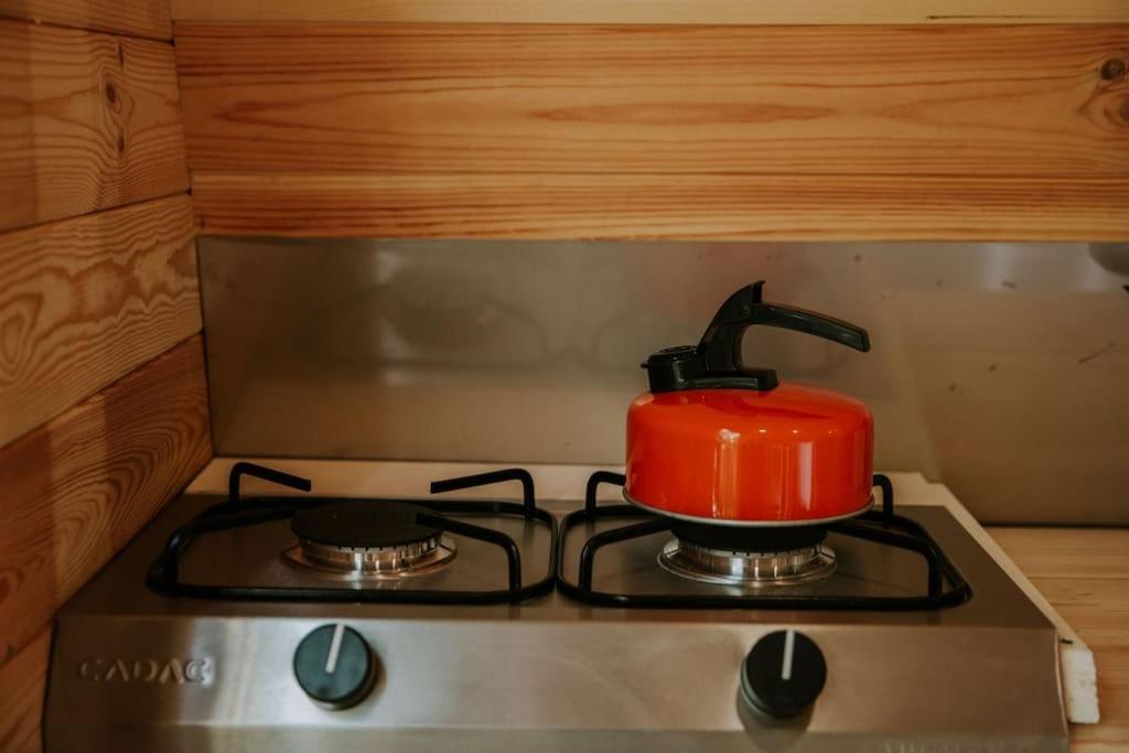 Pine Cosy Winter Cabin - Hot Tub & Log Burner Apartment Barmouth Ngoại thất bức ảnh